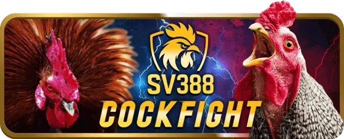 Slot mua thưởng tại pkbet